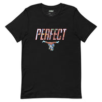 STUNNAS x SF PERFECT T-Shirt